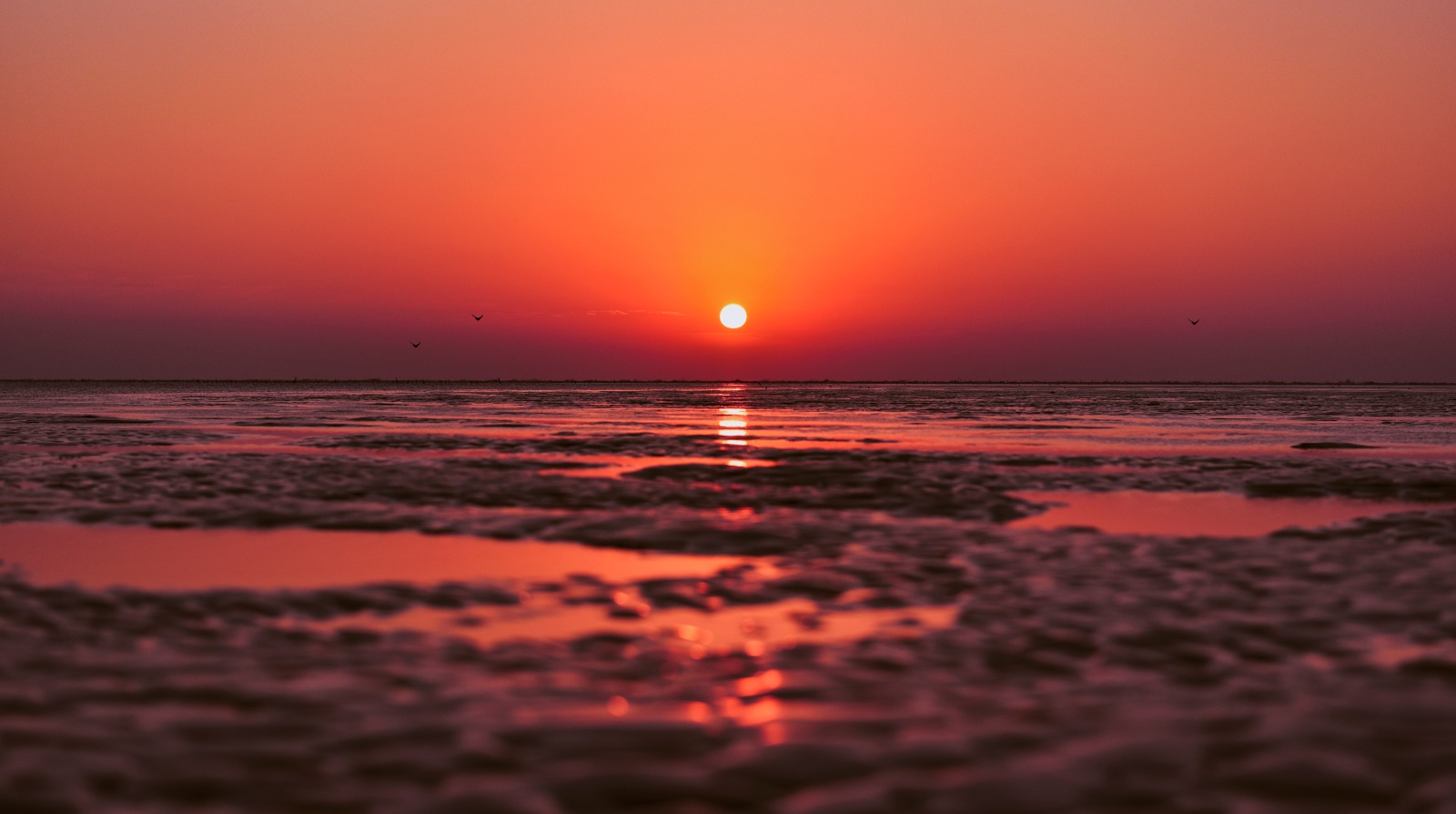 Landscapes